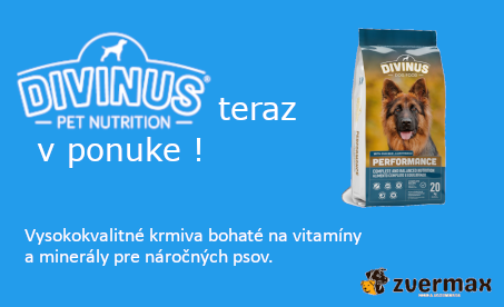 Divinus