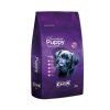 canun puppy