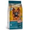 bag divinus performance 1