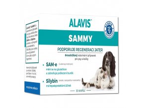 alavis sammy