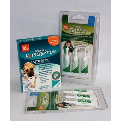 OBC010538 1456217457