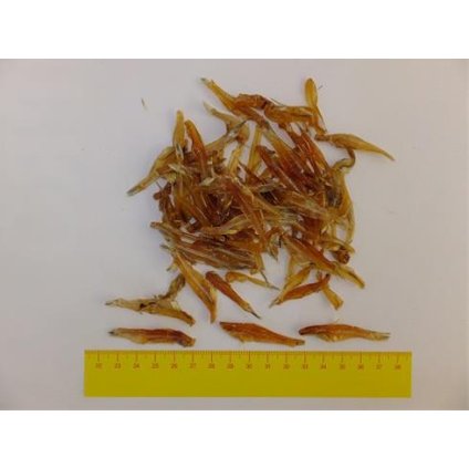 OBC012297 1455716368