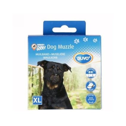 OBC015670 1610095025