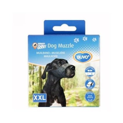 OBC015671 1610095029