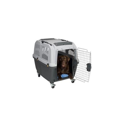 OBC017850 1587111744