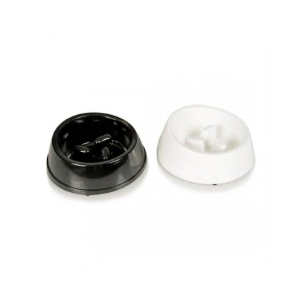 OBC018891 1575371098