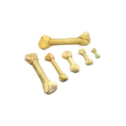 OBC019226 1650786288