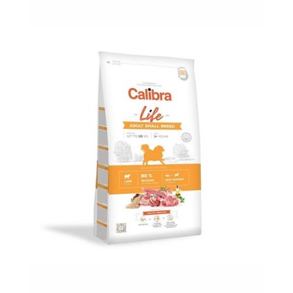 OBC019474 1595332416