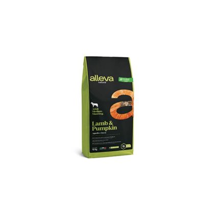 obc019709 1600855656