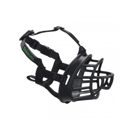 OBC021501 1642072947