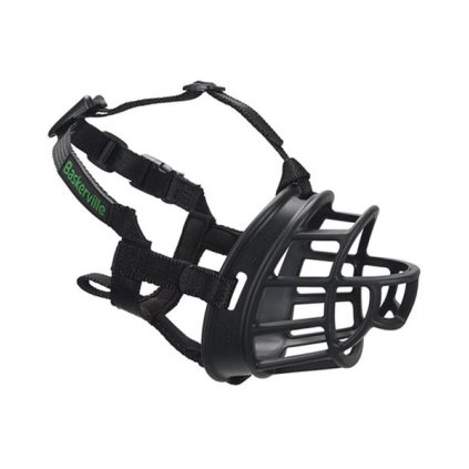 OBC021504 1637220305