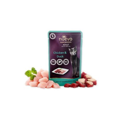 OBC021952 1670841496