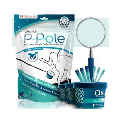 OBC022977 1686053439