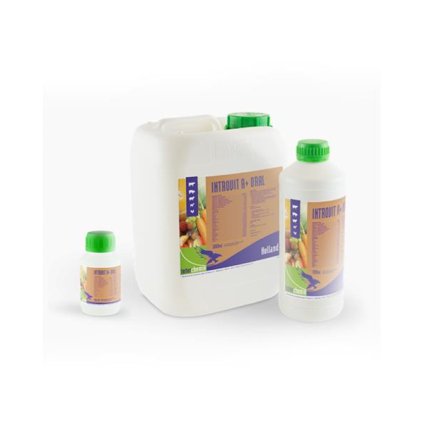 OBC018584 1565083191