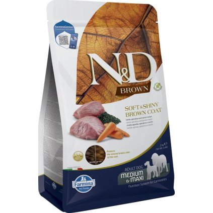 OBC026342 1762176906