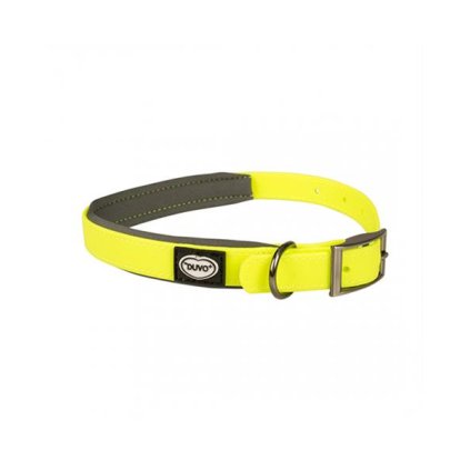 OBC019248 1586419497