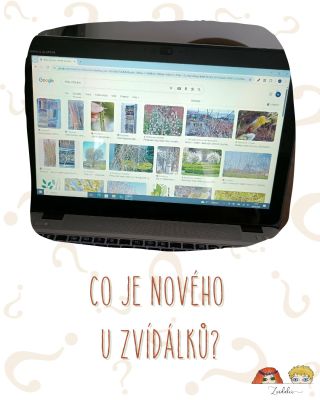 Po Vánocích jsem se na sítích trochu odmlčela. Ne proto, že by se nic nedělo. Ale proto, že se toho děje až moc. Vím, že...