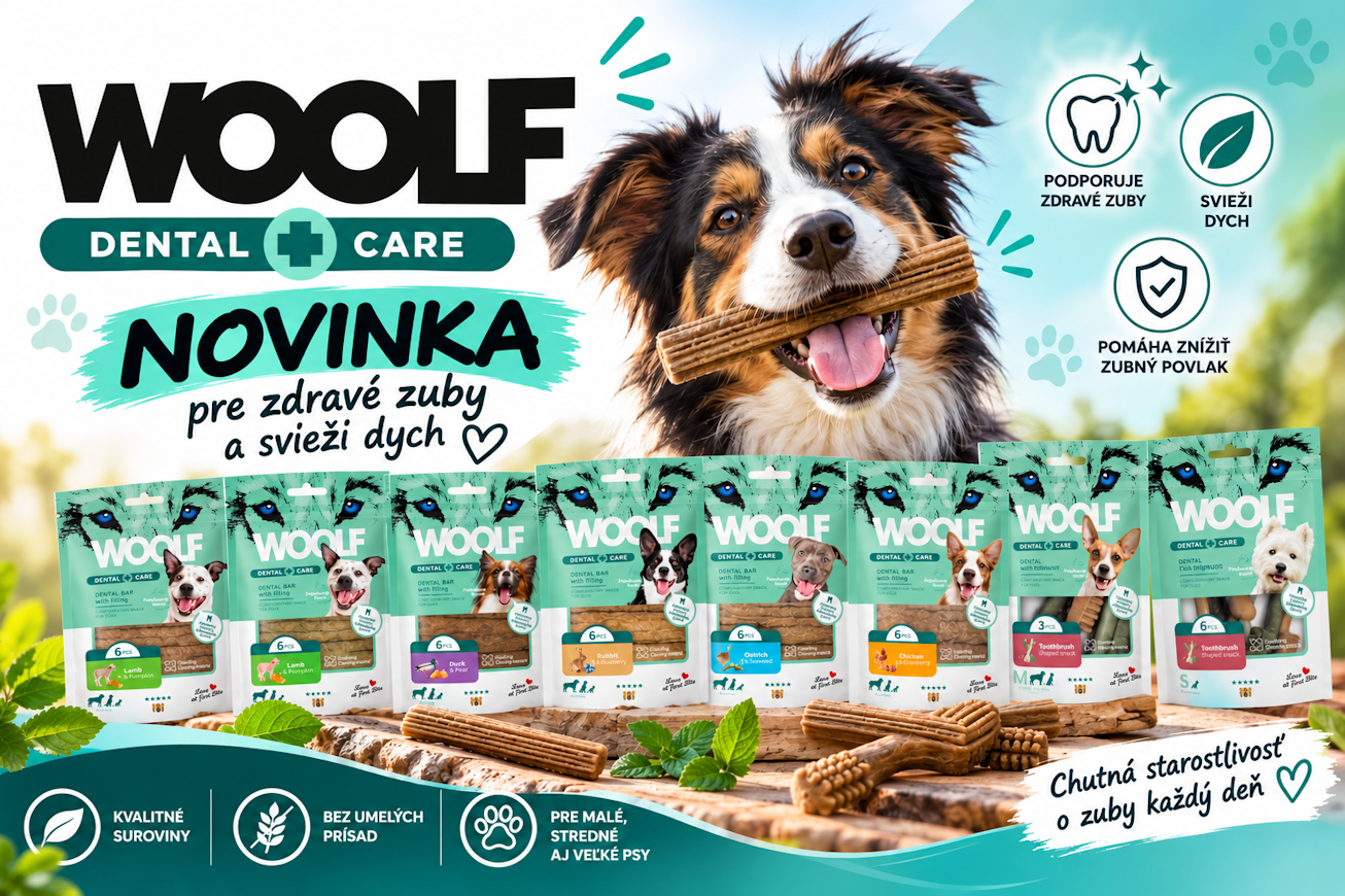 WOOLF DENTAL STAROSTLIVOSŤ