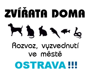 Rozvoz-vyzvednutí v Ostravě