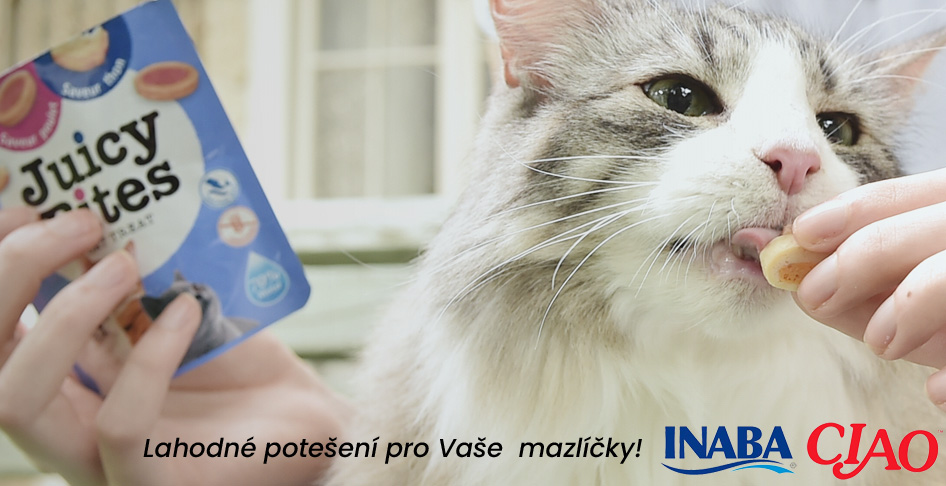 Churu pamlsky pro kočky