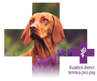 Kvalitní dietní krmiva pro psy