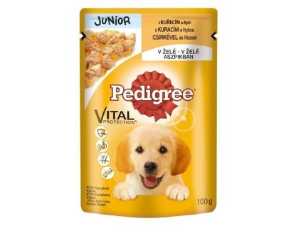 Pedigree Junior s kuřecím masem 100g