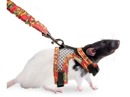 antialias 61698d54 c7aa 4f1b a4f5 139504a7a29e 253446711da3e910c748b53dab1616fb