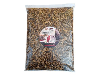 Apetit Black Soldier Fly larvae 500g