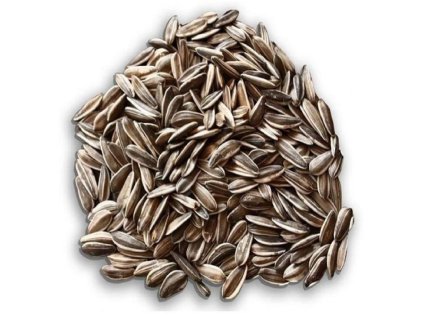 antialias 7e3a2c83 218e 41eb b517 8135479757c5 e56808b65b274a3988640f32e2ec95ad