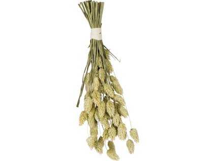 antialias cb0fb19f c840 0001 3274 7960767f1d08 cce720cd7b7efc4c603c54689c522383