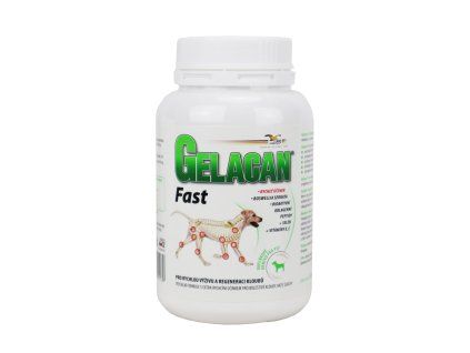 Gelacan Fast