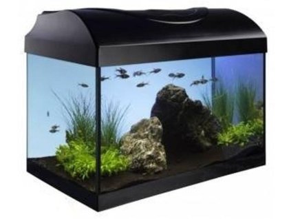 antialias 31dedde4 eee4 4cc4 9406 2a45e16b21e6 662688fdaa7f7cca7073911100b16ff5