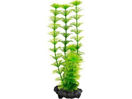 antialias 23241839 40f3 450b bfcb a4a041f10e2c 040e0094ffa994c9e1561b758a0ecb6f