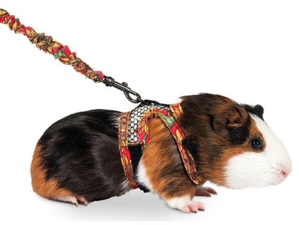 antialias 07a0aee9 b702 4e62 b6b1 03d1a9aca222 50becd617592fcf6f9464441ba84d93a