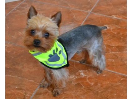 antialias ba2c83ac 3d9a 4c55 81f3 2b32be22af9d d161535baffd030e4b655660789f63e6