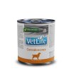 Vet Life Natural Dog konz. Convalescence 300g