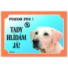 Cedulka labradorský retrívr světlý