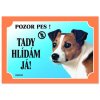 Cedulka jack russel teriér