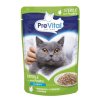 PreVital Cat kaps. Sterile drůbeží v omáčce 24×100g