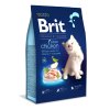 Brit Premium Cat by Nature Kitten Chicken