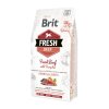 Brit Fresh Dog Beef & Pumpkin Puppy Large 2,5kg