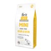 Brit Care Dog Mini Grain-Free Hair & Skin