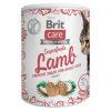 Brit Care Cat Snack Superfruits Lamb 100g
