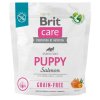Brit Care Dog Grain-free Puppy Salmon
