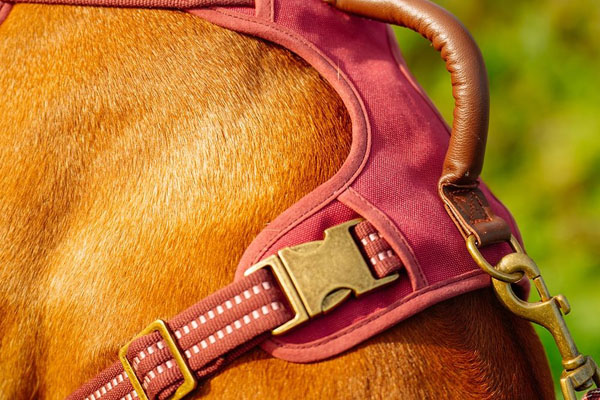 Designová kolekce Nobby SPORTY