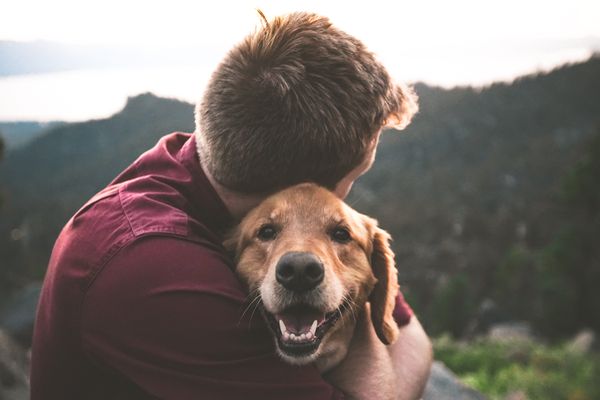 Psí psychologie: Jak se pozná spokojený pes?