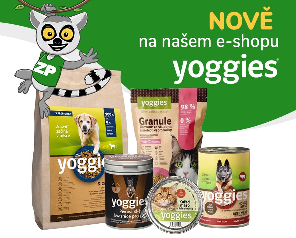 Žhavá novinka!