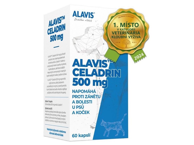 Vitamíny a léčiva pro psy