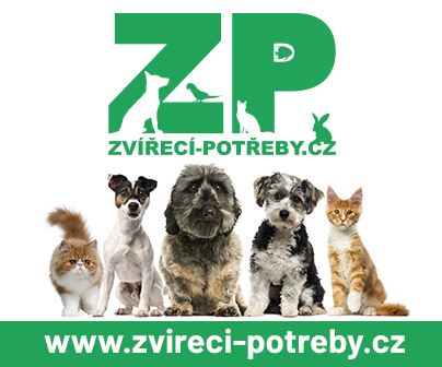 ZP_ctverec