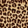 Leopardí